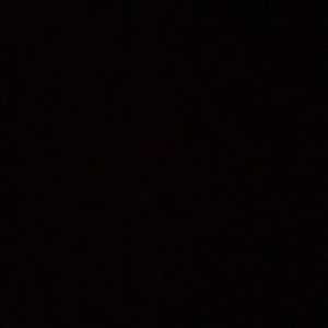 Meet your Posher, Anusha